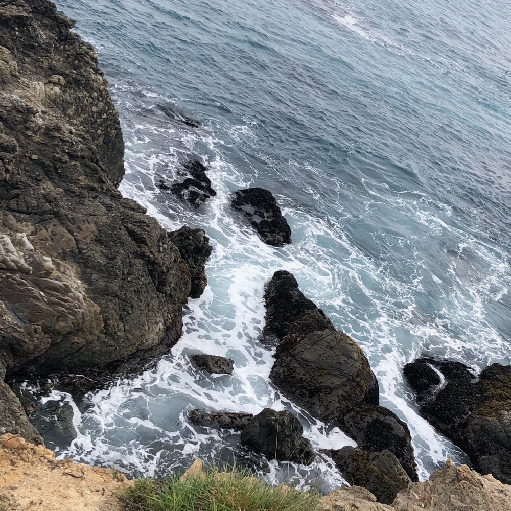 Meet your Posher, Gabby